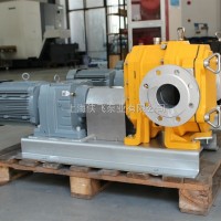 防爆型電動隔膜泵