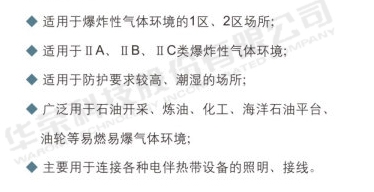 BBR-WDDY系列防爆電伴熱指示燈（IIC、tD）2